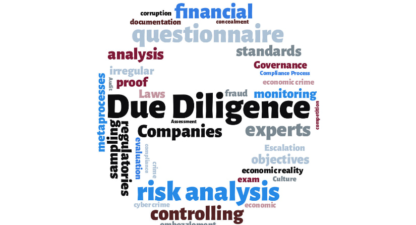 Due Diligence