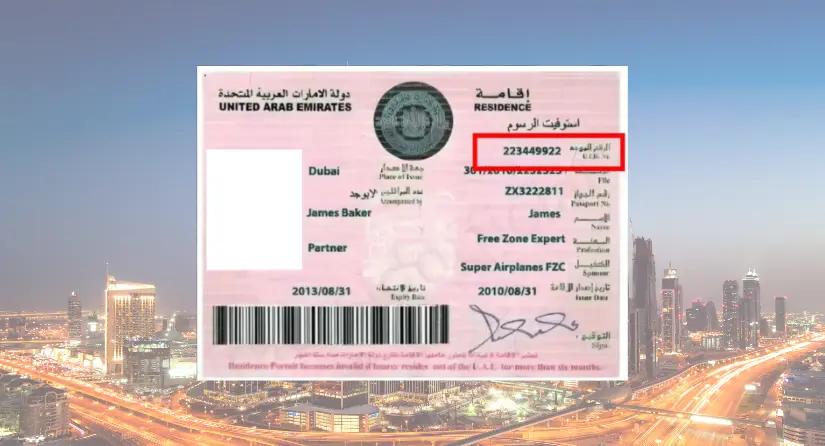Why is the Emirates ID Necessary in the UAE