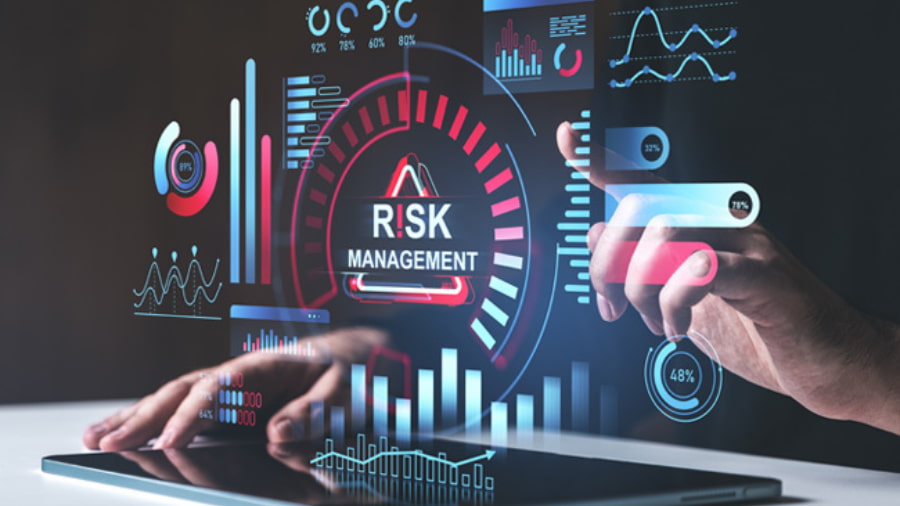 Proactive Risk Management and Audit Support