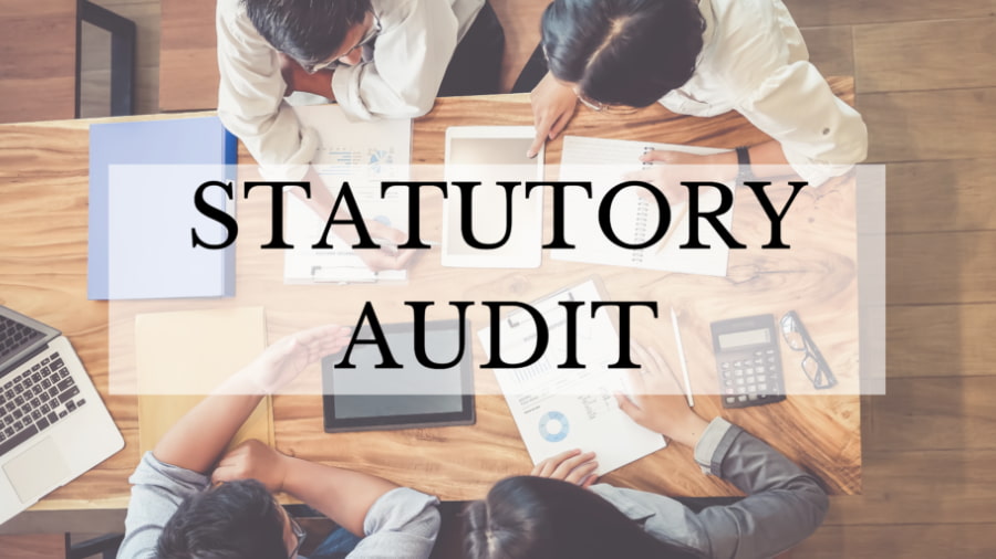 What is a Statutory Audit?